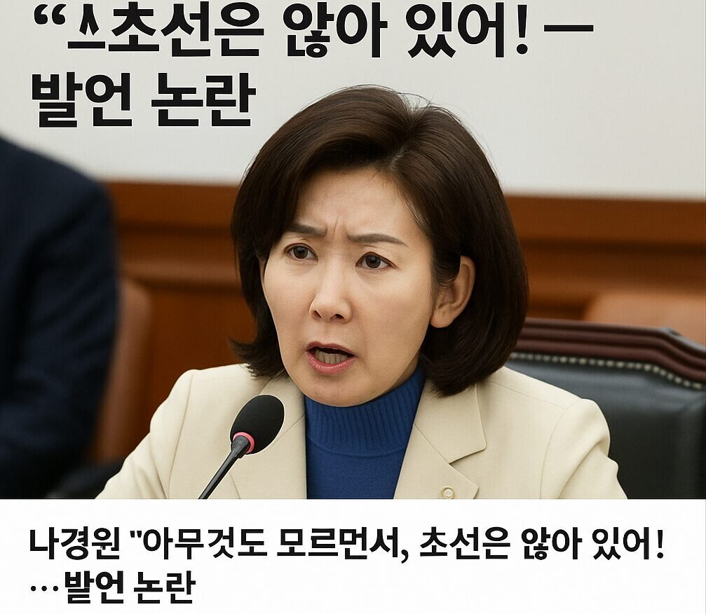 국회 법사위 회의에서 발언하는 나경원 의원, "초선은 앉아 있어" 발언 논란