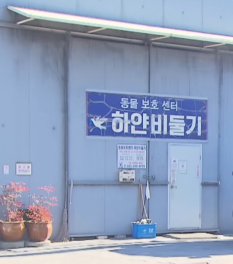 부산 강서구에 위치한 하얀비둘기 유기동물 보호센터 외관 전경